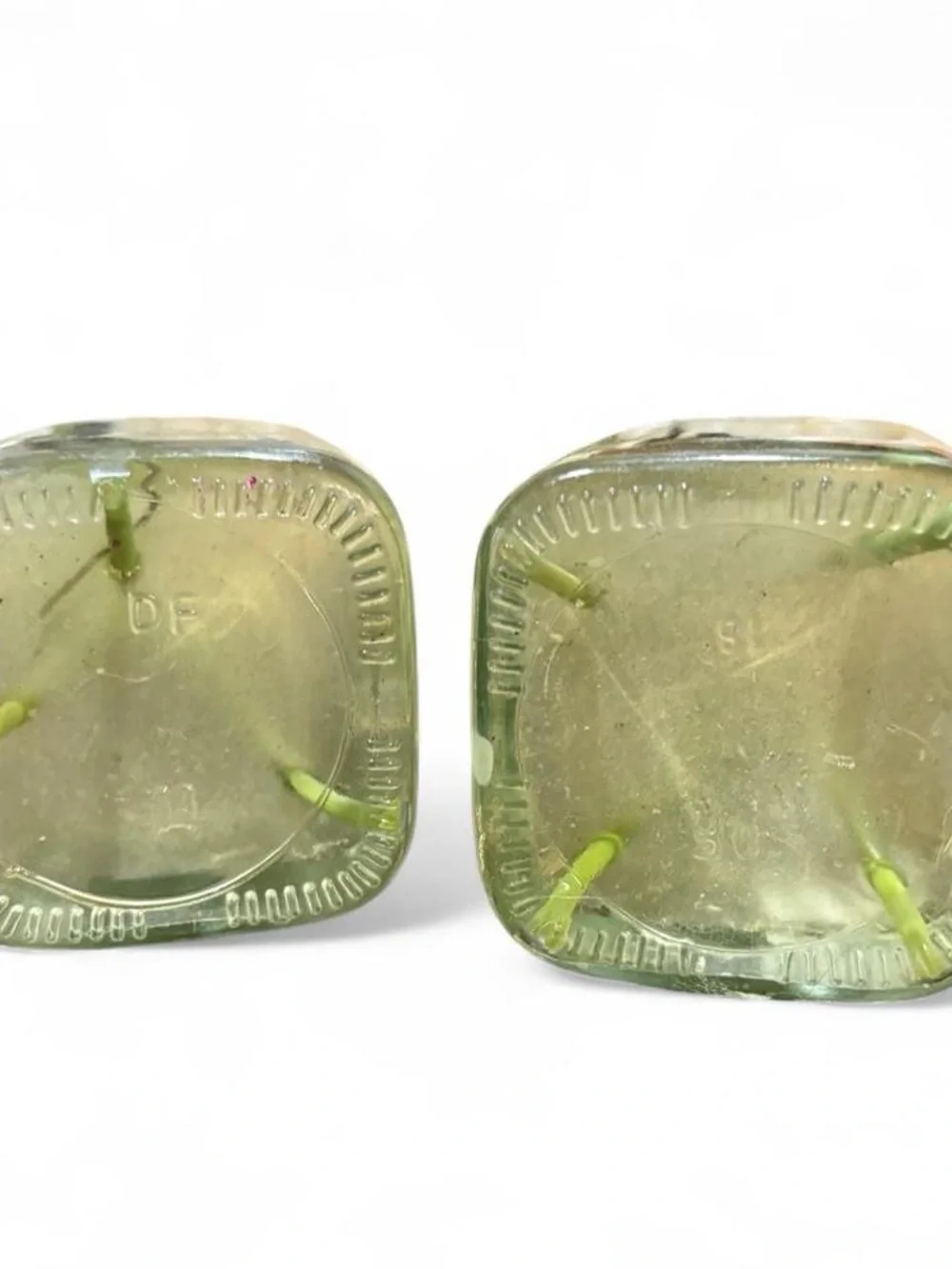 Unbranded Cream Artificial Ranunculus in Mini Glass Vase - Set of 2